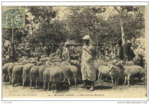 Carte Postale Ancienne Algérie - Maison Carrée (El Harrach). Le Marché aux Moutons - Commerces