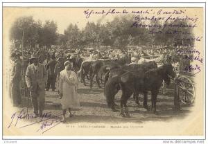 Carte Postale Ancienne Algérie - Maison Carrée (El Harrach). Marché aux Chevaux