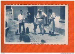 1 cpa LE REPAS DES SINGES - R. Prouho Hussein Dey édit