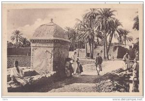 Au Pays des fruits d'or et d'ambre -  édition  Hussein Dey neuve excellent état