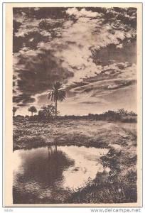 effets de nuages -  édition  Hussein Dey neuve excellent état