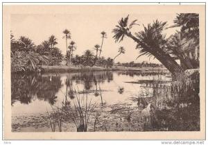 une jolie riviere du centre  -  édition  Hussein Dey neuve excellent état