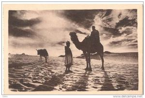 Crépuscule au désert édition  Hussein Dey neuve excellent état