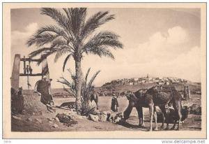 un joli paysage du M'zab le puits édition Hussein Dey neuve excellent état