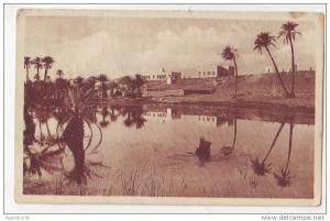 Une Riviere au Sahara - ed. R. Prouho , Hussein-Dey