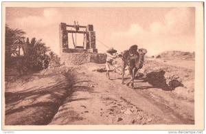 UN PUITS DANS LE SUD TUNISIEN ANIMEE R. PROUHO HUSSEIN DEY MEDAILLE D'OR GRENOBLE 1925 PAS CIRCULEE