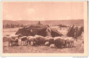 CAMPEMENT DE NOMADES DANS LE SUD TUNISIEN R. PROUHO HUSSEIN DEY MEDAILLE D'OR GRENOBLE 1925 PAS CIRCULEE