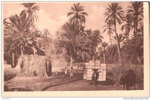 DANS UNE PALMERAIE DU SUD TUNISIEN R. PROUHO HUSSEIN DEY MEDAILLE D'OR GRENOBLE 1925