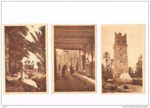 lot  de 3  superbe carte postale algerie année 30 col.AFRIQUE r.Prouho_Hussein.Dey  TBE