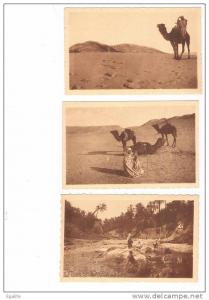lot  de 3  superbe carte postale algerie année 30 col.AFRIQUE r.Prouho_Hussein.Dey