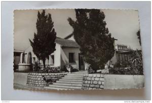396 - 19e régiment du génie - Jardin japonais ou terre provençale - Alger - Hussein Dey - dentelée
