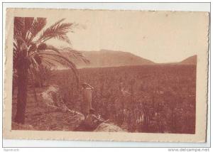 Vue d'ensemble d'une Palmerale - ed. R. Prouho , Hussein Dey