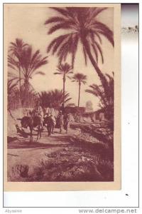 TUNISIE - dans une palmeraie du sud - nr 14 prouho à hussein dey - d4 240
