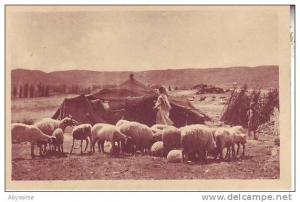 TUNISIE - (animé, moutons) campement de nomades dans le sud - nr 9 prouho à hussein dey - d4 244