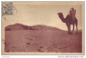 ALGERIE - chamelier cherchant une piste (timbre d´algérie) - nr 86 R.Prouho hussein dey - d10 471