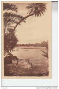 ALGERIE - (animé) amusements du sud - prouho à hussein dey - d20 976