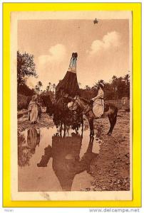 BASSOUD A LA RIVIERE – BOU-SAADA * Coll. R Prouho , Hussein-Dey , Algerie * Animation Dromadaire * Afrique Nord 3451