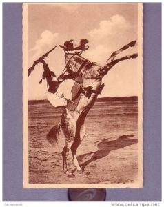 Algérie - Bou Saada - Cheval cabré - Editeur R. Prouho - Hussein Dey