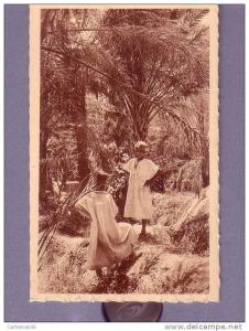 Algérie - Bou Saada - dans les jardins de l'oasis - Editeur R. Prouho - Hussein Dey