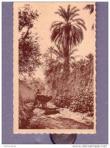 Algérie - Bou Saada - Un chemin dans l'oasis - Editeur R. Prouho - Hussein Dey