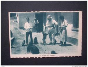 LE REPAS DES SINGES  - R. Prouho Hussein Dey édit. -  NON CIRCULEE  L68D