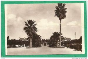 HUSSEIN DEY  - CASERNE DU GENIE  ALLEE D'HONNEUR