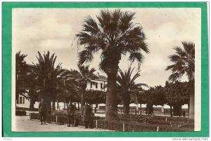 HUSSEIN DEY - CASERNE LEMERCIER  ALLEE DES PALMIERS ( 3 PERSONNAGES DEVANT)