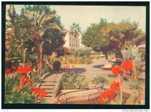 ALGER - LE SQUARE DE TRIPOLI A HUSSEIN - DEY - Algerie  Algeria Algerien 60035