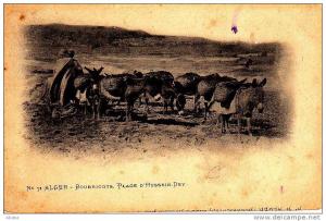 ALGER BOURRICOTS PLACE D HUSSEIN DEY