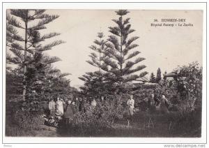 Algérie  HUSSEIN DEY   Hôpital Parney - Le jardin