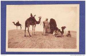 S391))   HALTE AU DESERT  col r prouho  HUSSEIN DEY  (TTB ETAT)