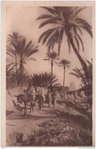 CPA COLLECTION PROUHO HUSSEIN DEY GRENOBLE 1925.UNE PALMERAIS DU SUD.