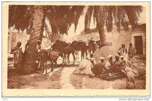 -ALGERIE - Caravane au repos - ( hussein Dey ) carte neuve TB