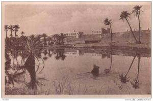 CPA UNE RIVIERE AU SAHARA.COLLECTION PROUHO HUSSEIN DEY.GRENOBLE 1925.