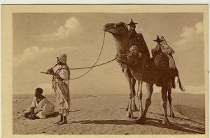 Photographe R. Prouho Hussein Dey Mehara Selles au pommeau Touareg Rhalaas