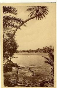 Photographe R. Prouho Hussein Dey L Afrique Baignade riviere du sud