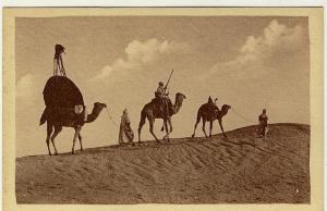 Photographe R. Prouho Hussein Dey Coll. Artistique  L´Afrique  Caravane Dromadaires Touareg