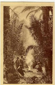 Photographe R. Prouho Hussein Dey Coll. Artistique  L´Afrique  Enfants autour feu