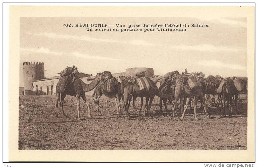 BENI-OUNIF - Un convoi en partance pout Timimounn - Vue prise derrière l' Hôtel du Sahara