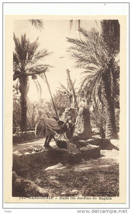 BENI-OUNIF - Dans les Jardins de Zaghla