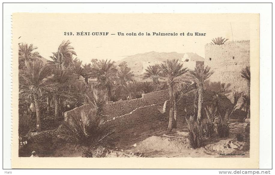 BENI-OUNIF - Un coin de la Palmeraie et du Ksar