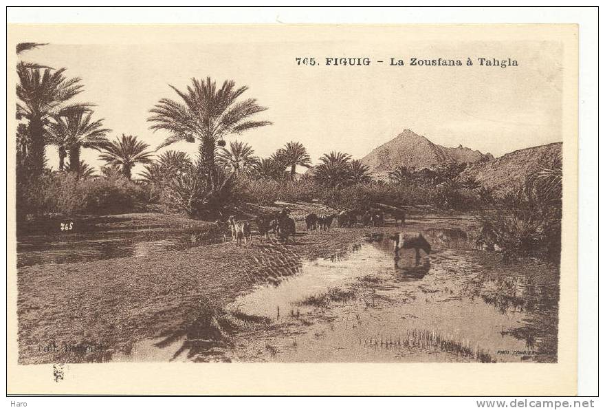 BENI-OUNIF - FIGUIG - La Zousfana à Tahgia