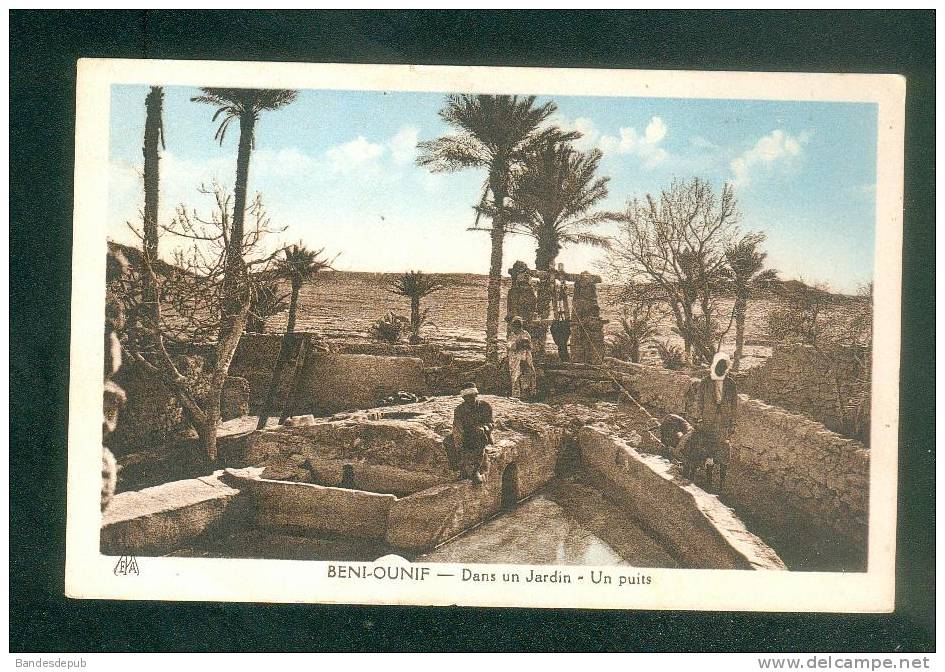 Algérie - Beni Ounif - Dans un Jardin - Un puits ( animée Ed. Photo Africaines )