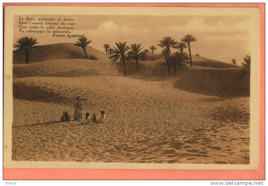 372 Beni Ounif dunes de sables
