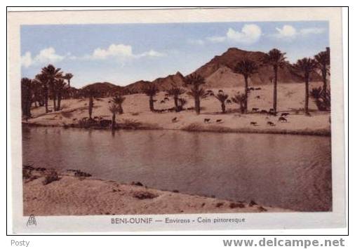 CPA - BENI-OUNIF - La Palmeraie - Coul - 1943 ! -