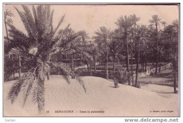 BENI OUNIF , Dans la palmeraie , édition GEISER