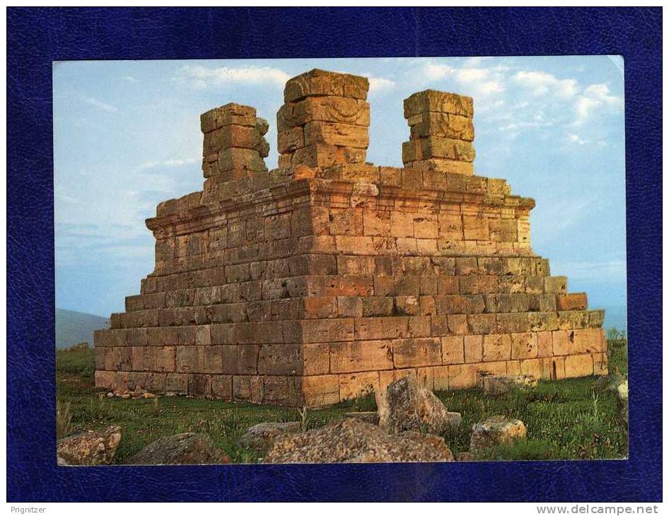 ALGERIE / ALGERIEN   Es Soumaa   El Khroub             CPSM  Made in germany / Allemagne