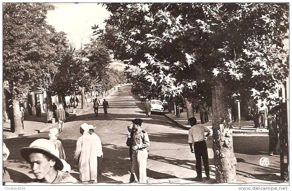 BERROUAGHIA (ALGERIE) La Rue d´Alger en 1961 (Belle animation)   CPSM