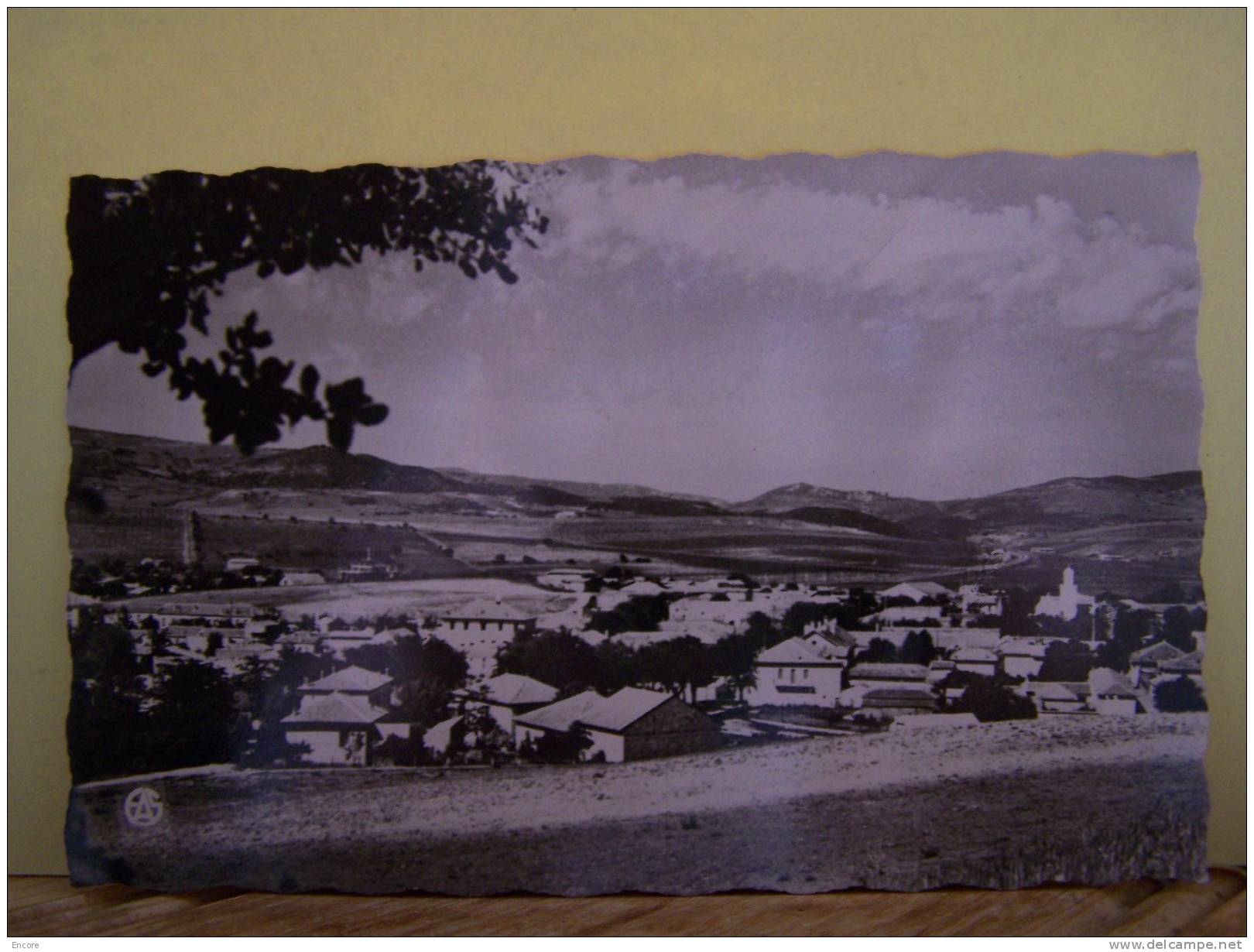 BERROUAGHIA (ALGERIE) VUE GENERALE.  N°1028