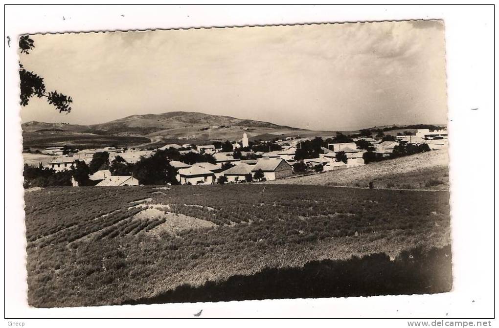 CPSM ALGERIE - BERROUAGHIA ( Alger ) - Vue générale - Trés Jolie vue d'ensemble et Rapprochée du Village